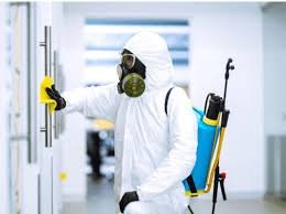 شركة مكافحة حشرات بمكه